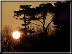 foto Tramonto sul fiume Brenta